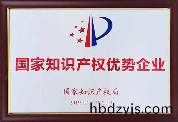 National Intellectual Property Advantage Enterprise