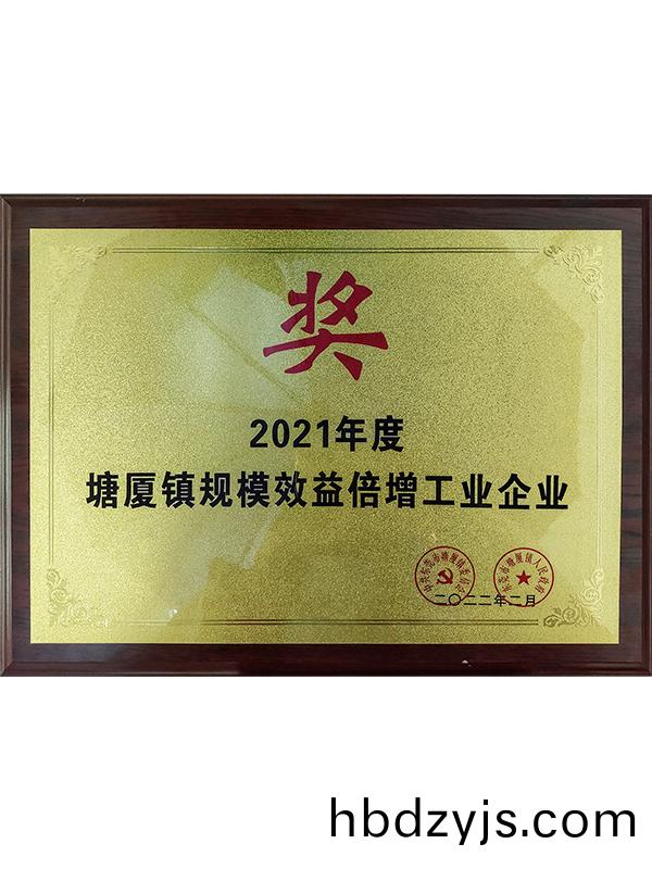 Industrial Enterprises with double benefit of scale in Tangxia Town in 2021