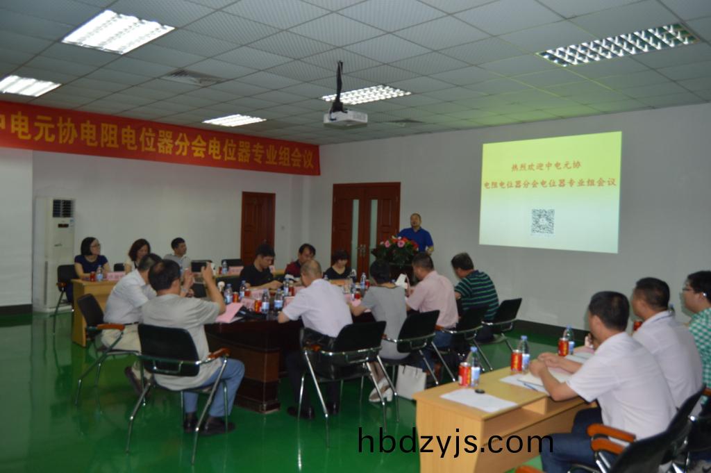 電(dian)位器(qi)專(zhuan)業(ye)研(yan)討(tao)會